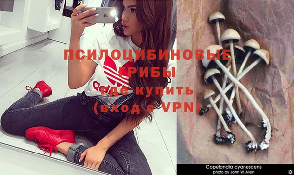 хмурый Алексеевка