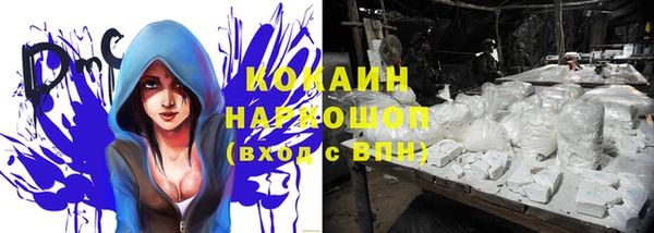 соль ск Алексин