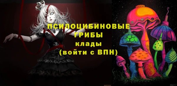 соль ск Алексин