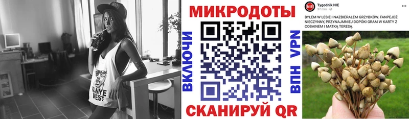где продают наркотики  Кочубеевское  Псилоцибиновые грибы Psilocybe 